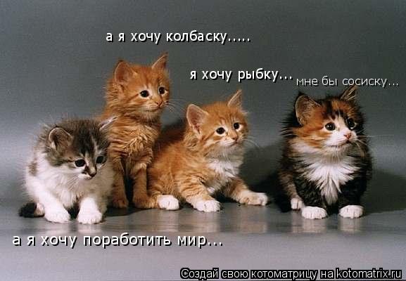 я хочу рыбку... а я хочу колбаску..... мне бы сосиску... а я хочу поработить мир...... Котоматрица: я хочу рыбку... а я хочу колбаску..... мне бы сосиску... а я хочу поработить мир...