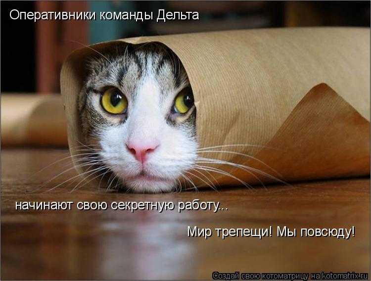 Оперативники команды Дельта начинают свою секретную работу... Мир трепещи! Мы повсюду!... Котоматрица: Оперативники команды Дельта начинают свою секретную работу... Мир трепещи! Мы повсюду!