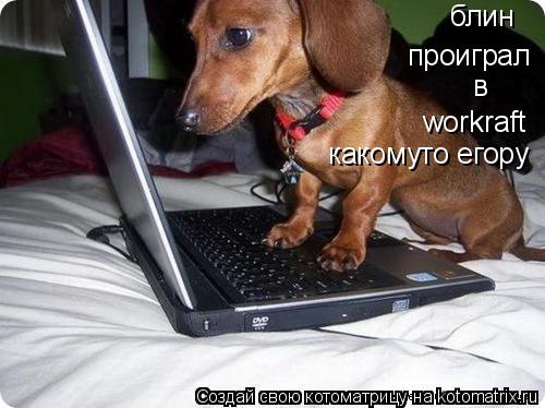 блин проиграл в workraft какомуто егору... Котоматрица: блин проиграл в workraft какомуто егору