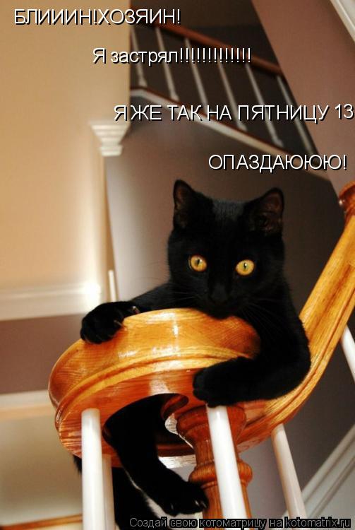БЛИИИН!ХОЗЯИН! Я застрял!!!!!!!!!!!!! Я ЖЕ ТАК НА ПЯТНИЦУ 13 ОПАЗДАЮЮЮ!... Котоматрица: БЛИИИН!ХОЗЯИН! Я застрял!!!!!!!!!!!!! Я ЖЕ ТАК НА ПЯТНИЦУ 13 ОПАЗДАЮЮЮ!