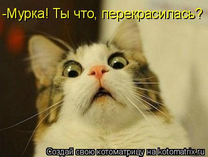 -Мурка! Ты что, перекрасилась?... Котоматрица: -Мурка! Ты что, перекрасилась?