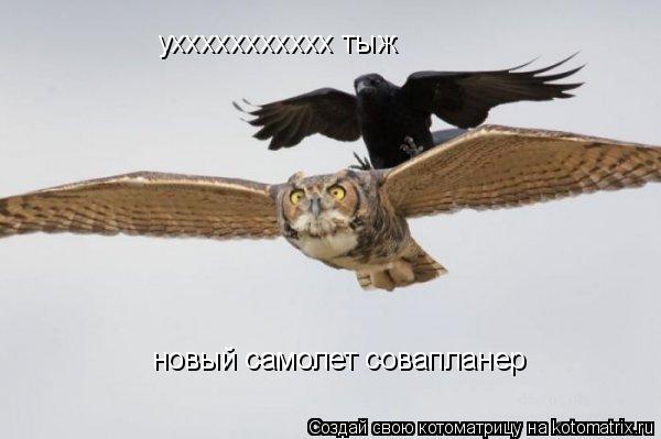 уххххххххххх тыж новый самолет совапланер... Котоматрица: уххххххххххх тыж новый самолет совапланер