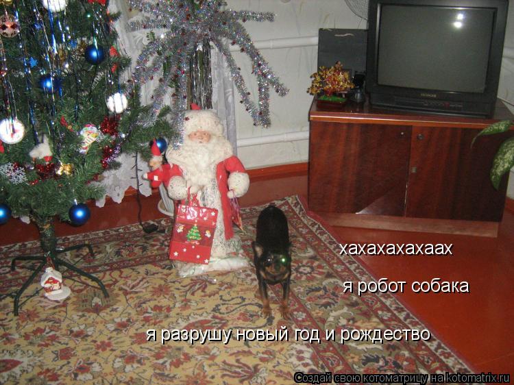 хахахахахаах я робот собака я разрушу новый год и рождество... Котоматрица: хахахахахаах я робот собака я разрушу новый год и рождество