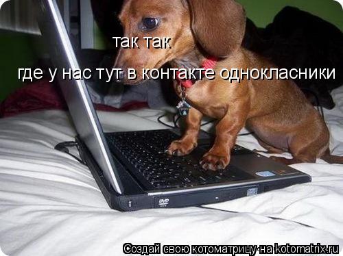 так так где у нас тут в контакте однокласники... Котоматрица: так так где у нас тут в контакте однокласники