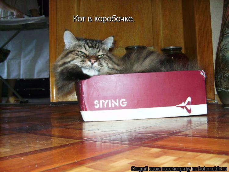 Котоматрица: Кот в коробочке.