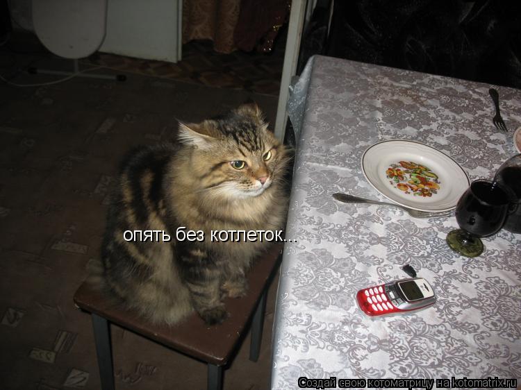 опять без котлеток...... Котоматрица: опять без котлеток...
