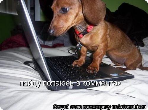пойду полаюсь в комментах... Котоматрица: пойду полаюсь в комментах