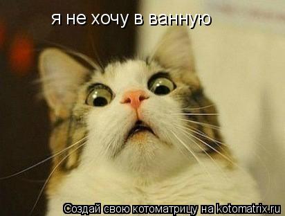 я не хочу в ванную... Котоматрица: я не хочу в ванную