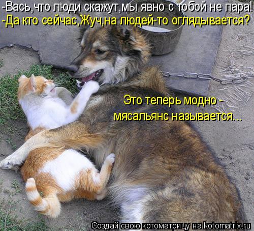 -Вась,что люди скажут,мы явно с тобой не пара! -Да кто сейчас,Жуч,на людей-то оглядывается? Это тепер... Котоматрица: -Вась,что люди скажут,мы явно с тобой не пара! -Да кто сейчас,Жуч,на людей-то оглядывается? Это теперь модно - мясальянс называется...