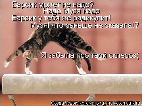 Барсик может не надо? Надо Муся надо Барсик у тебя же радикулит! Муся! что раньше не сказала!? Я заб... Котоматрица: Барсик может не надо? Надо Муся надо Барсик у тебя же радикулит! Муся! что раньше не сказала!? Я забыла про твой склероз(