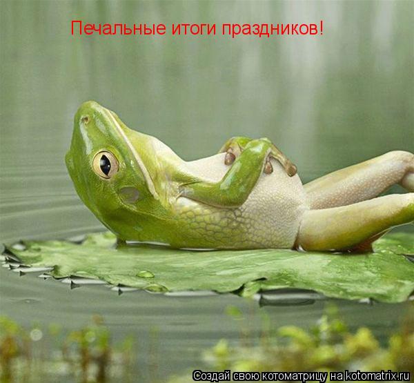 Печальные итоги праздников!... Котоматрица: Печальные итоги праздников!