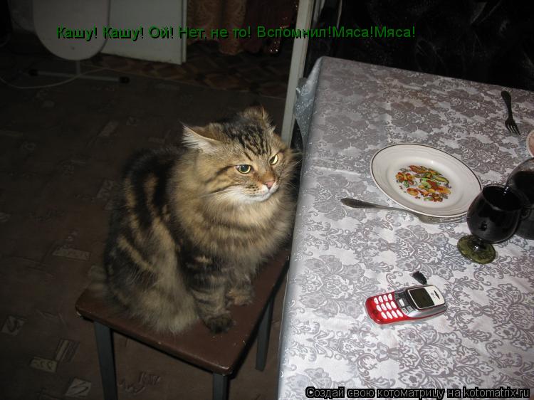 Кашу! Кашу! Ой! Нет, не то! Вспомнил!Мяса!Мяса!... Котоматрица: Кашу! Кашу! Ой! Нет, не то! Вспомнил!Мяса!Мяса!