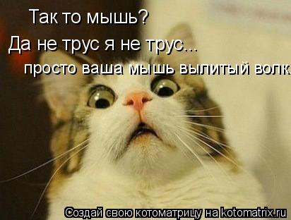 Так то мышь? Да не трус я не трус... просто ваша мышь вылитый волк.... Котоматрица: Так то мышь? Да не трус я не трус... просто ваша мышь вылитый волк.