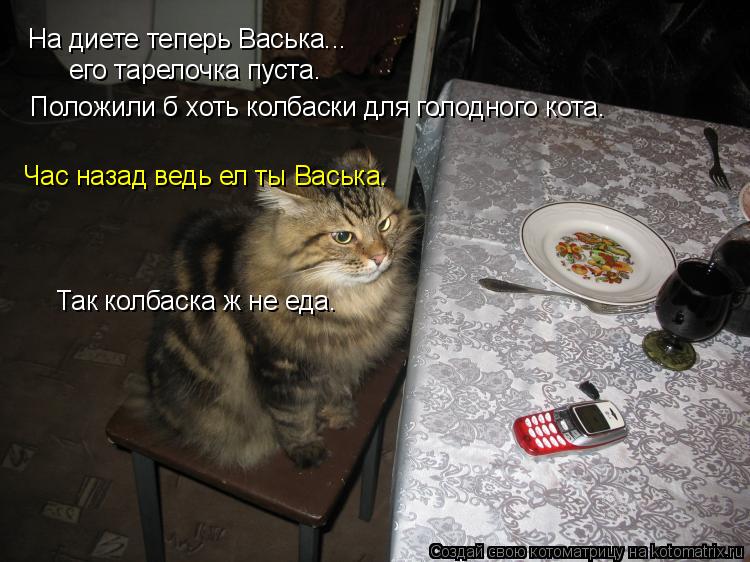 На диете теперь Васька... его тарелочка пуста. Час назад ведь ел ты Васька. Положили б хоть колбаски ... Котоматрица: На диете теперь Васька... его тарелочка пуста. Час назад ведь ел ты Васька. Положили б хоть колбаски для голодного кота. Так колбаска ж не еда.