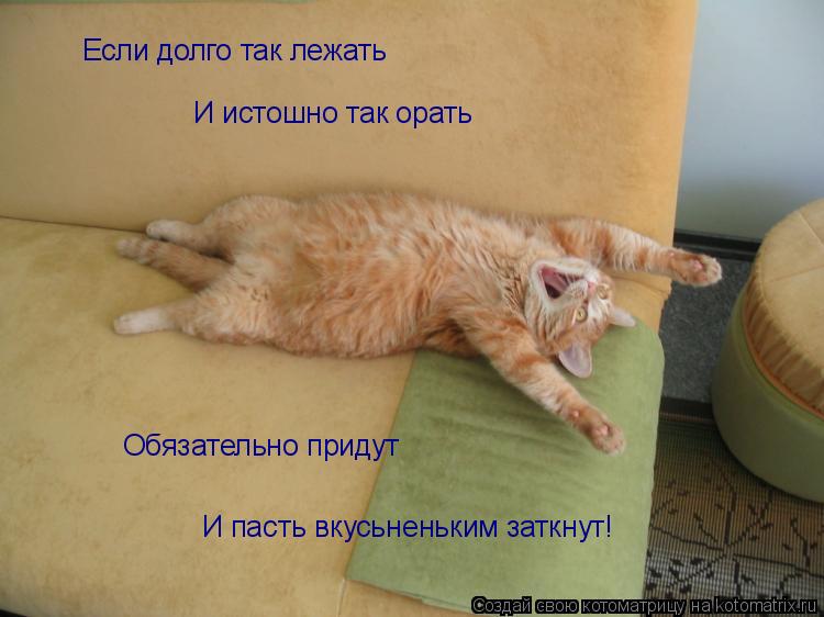 Если долго так лежать И истошно так орать Обязательно придут И пасть вкусьненьким заткнут!... Котоматрица: Если долго так лежать И истошно так орать Обязательно придут И пасть вкусьненьким заткнут!