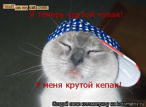 Я теперь крутой чувак! У меня крутой кепак!... Котоматрица: Я теперь крутой чувак! У меня крутой кепак!