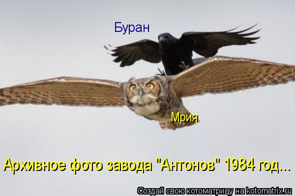 Буран Мрия Архивное фото завода "Антонов" 1984 год...... Котоматрица: Буран Мрия Архивное фото завода "Антонов" 1984 год...