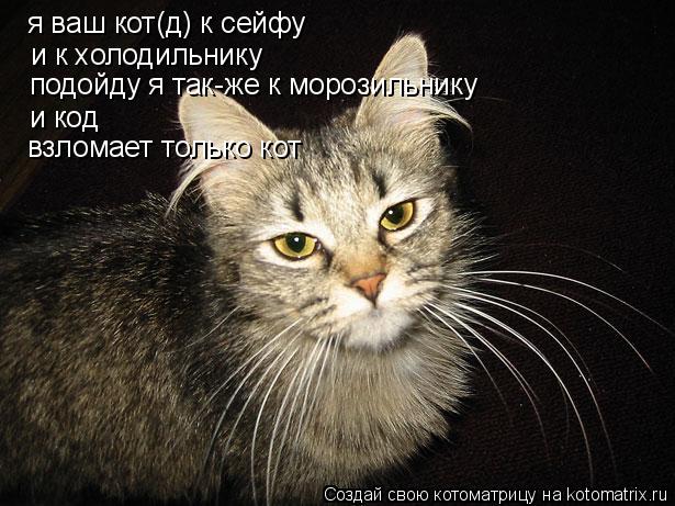 я ваш кот(д) к сейфу и к холодильнику подойду я так-же к морозильнику и код взломает только кот... Котоматрица: я ваш кот(д) к сейфу и к холодильнику подойду я так-же к морозильнику и код взломает только кот