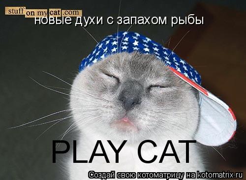 новые духи с запахом рыбы PLAY CAT... Котоматрица: новые духи с запахом рыбы PLAY CAT