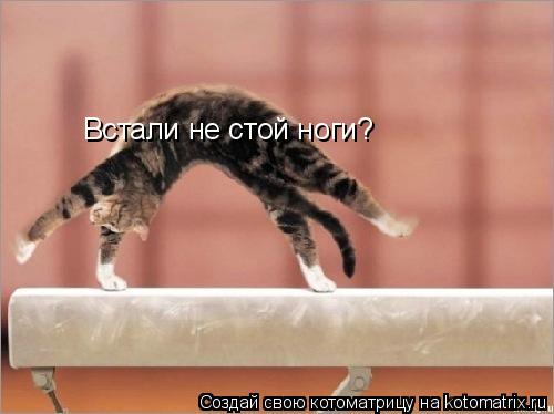 Встали не стой ноги? Встали не стой ноги?... Котоматрица: Встали не стой ноги? Встали не стой ноги?