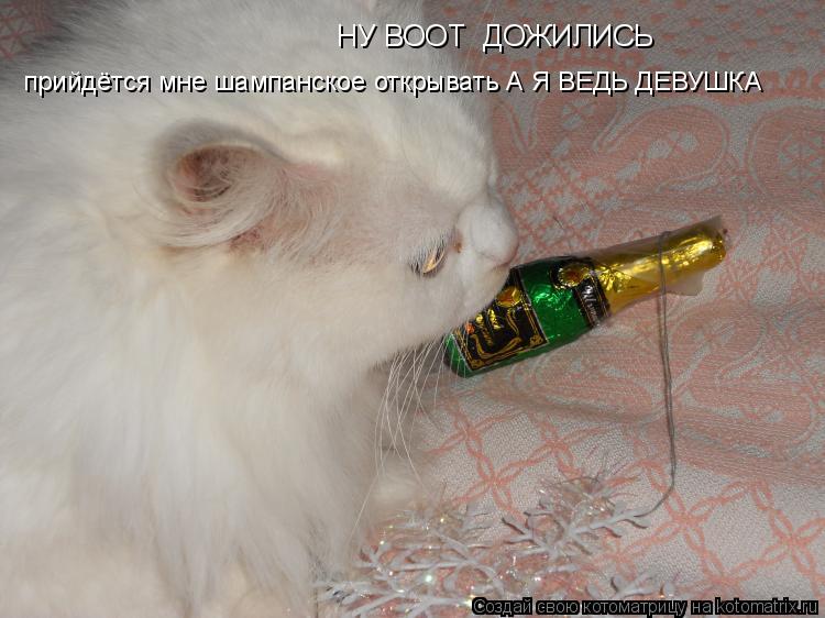 прийдётся мне шампанское открывать А Я ВЕДЬ ДЕВУШКА НУ ВООТ ДОЖИЛИСЬ... Котоматрица: прийдётся мне шампанское открывать А Я ВЕДЬ ДЕВУШКА НУ ВООТ ДОЖИЛИСЬ