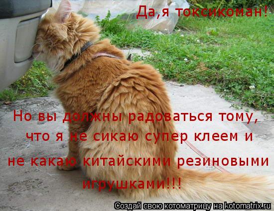 Да,я токсикоман! Но вы должны радоваться тому, не какаю китайскими резиновыми игрушками!!! что я не с... Котоматрица: Да,я токсикоман! Но вы должны радоваться тому, не какаю китайскими резиновыми игрушками!!! что я не сикаю супер клеем и