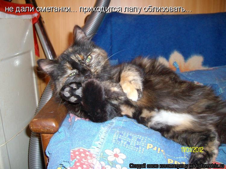 не дали сметанки... приходится лапу облизовать...... Котоматрица: не дали сметанки... приходится лапу облизовать...