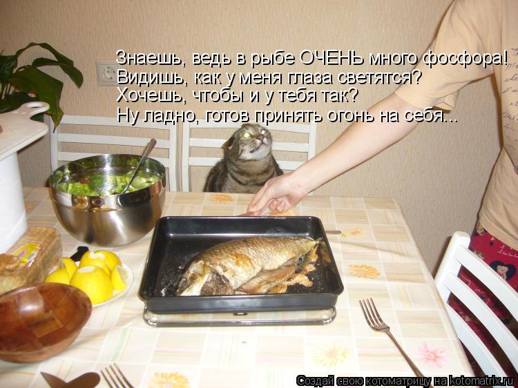 Знаешь, ведь в рыбе ОЧЕНЬ много фосфора! Видишь, как у меня глаза светятся? Хочешь, чтобы и у тебя та... Котоматрица: Знаешь, ведь в рыбе ОЧЕНЬ много фосфора! Видишь, как у меня глаза светятся? Хочешь, чтобы и у тебя так? Ну ладно, готов принять огонь на себя...