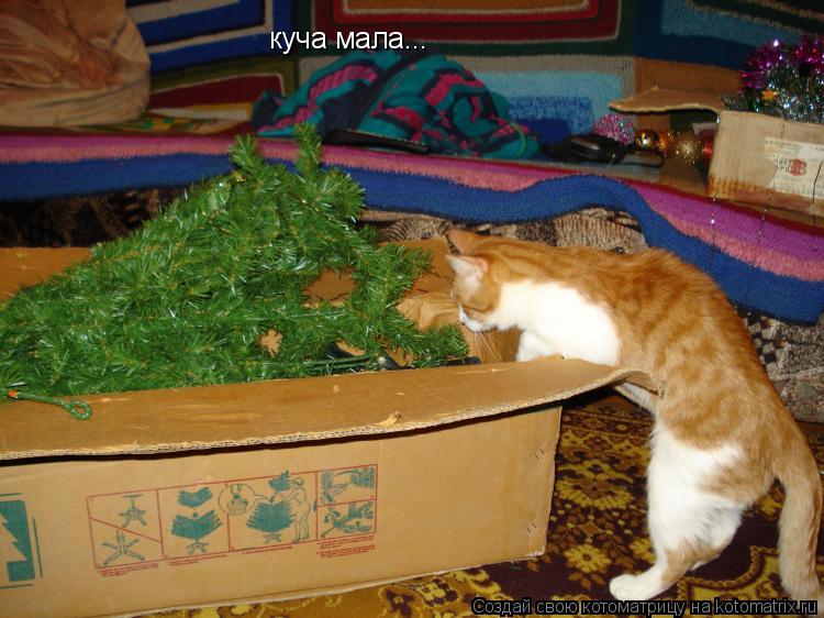 куча мала...... Котоматрица: куча мала...