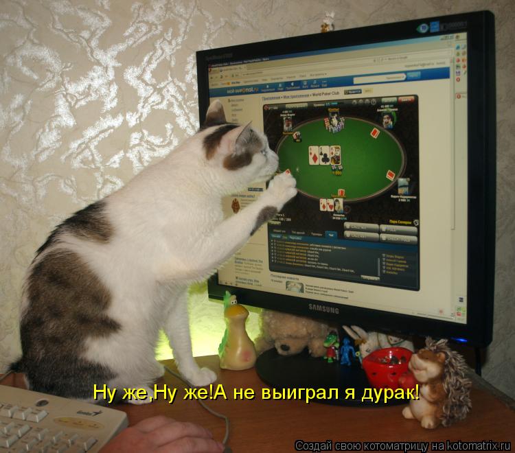 Ну же,Ну же!А не выиграл я дурак!... Котоматрица: Ну же,Ну же!А не выиграл я дурак!