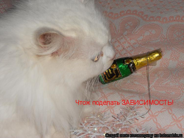 Чтож поделать ЗАВИСИМОСТЬ!... Котоматрица: Чтож поделать ЗАВИСИМОСТЬ!