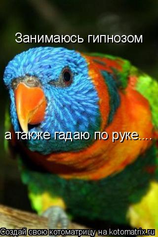 Занимаюсь гипнозом а также гадаю по руке....... Котоматрица: Занимаюсь гипнозом а также гадаю по руке....