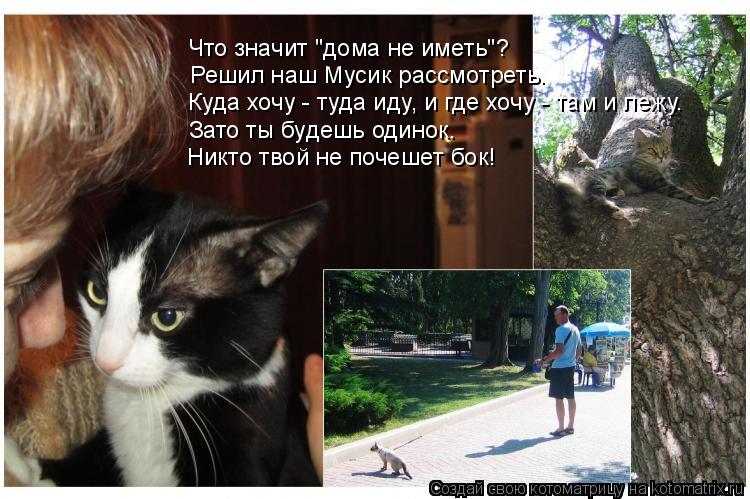 Что значит "дома не иметь"? Решил наш Мусик рассмотреть. Куда хочу - туда иду, и где хочу - там и леж... Котоматрица: Что значит "дома не иметь"? Решил наш Мусик рассмотреть. Куда хочу - туда иду, и где хочу - там и лежу. Зато ты будешь одинок. Никто твой не поче