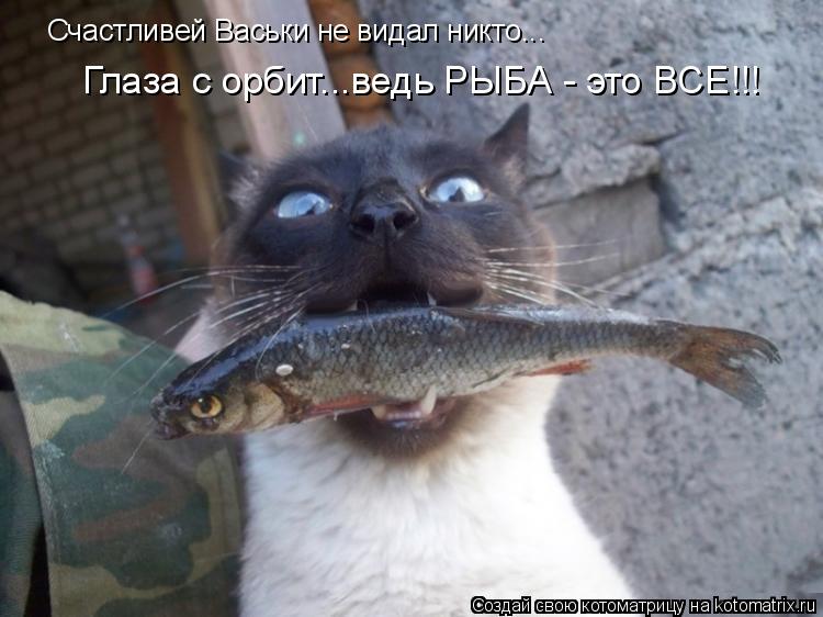 Счастливей Васьки не видал никто... Глаза с орбит...ведь РЫБА - это ВСЕ!!!... Котоматрица: Счастливей Васьки не видал никто... Глаза с орбит...ведь РЫБА - это ВСЕ!!!