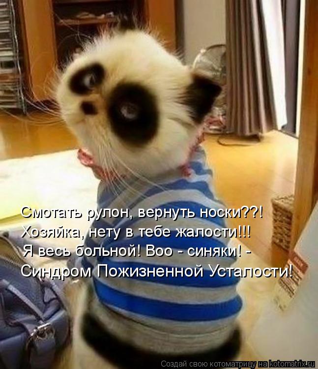 Смотать рулон, вернуть носки??! Хозяйка, нету в тебе жалости!!! Я весь больной! Воо - синяки! - Синдр... Котоматрица: Смотать рулон, вернуть носки??! Хозяйка, нету в тебе жалости!!! Я весь больной! Воо - синяки! - Синдром Пожизненной Усталости!