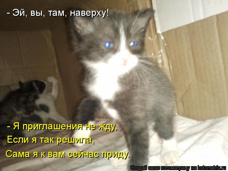 - Эй, вы, там, наверху! - Я приглашения не жду, Если я так решила, Сама я к вам сейчас приду.... Котоматрица: - Эй, вы, там, наверху! - Я приглашения не жду, Если я так решила, Сама я к вам сейчас приду.