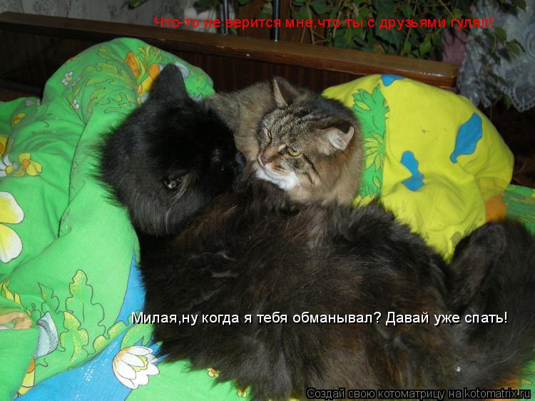 Что-то не верится мне,что ты с друзьями гулял! Милая,ну когда я тебя обманывал? Давай уже спать!... Котоматрица: Что-то не верится мне,что ты с друзьями гулял! Милая,ну когда я тебя обманывал? Давай уже спать!