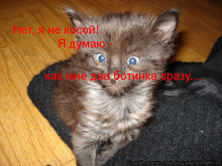 Нет, я не косой! Я думаю - как мне два ботинка сразу....... Котоматрица: Нет, я не косой! Я думаю - как мне два ботинка сразу....