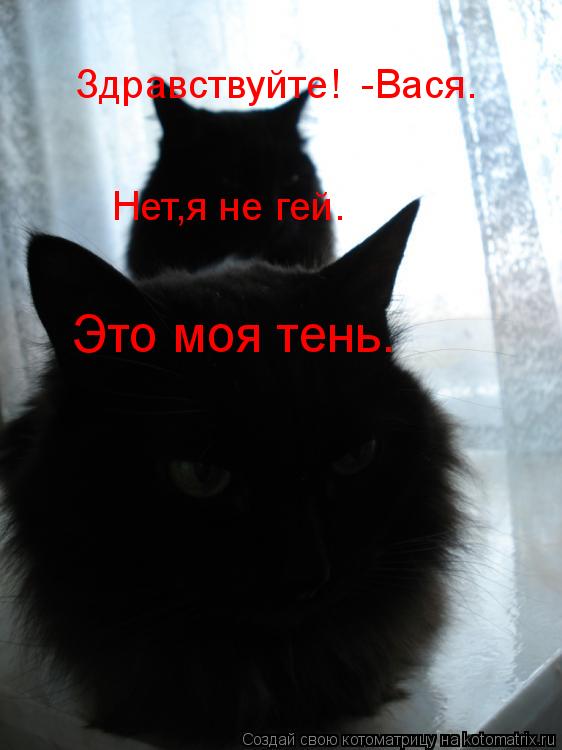 Здравствуйте! -Вася. Нет,я не гей. Это моя тень.... Котоматрица: Здравствуйте! -Вася. Нет,я не гей. Это моя тень.