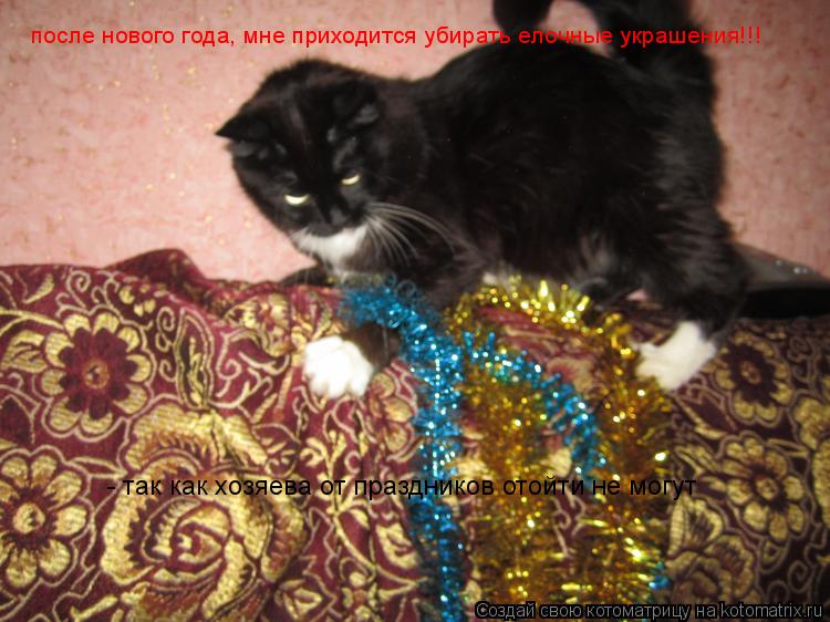 после нового года, мне приходится убирать елочные украшения!!! - так как хозяева от праздников отойти... Котоматрица: после нового года, мне приходится убирать елочные украшения!!! - так как хозяева от праздников отойти не могут