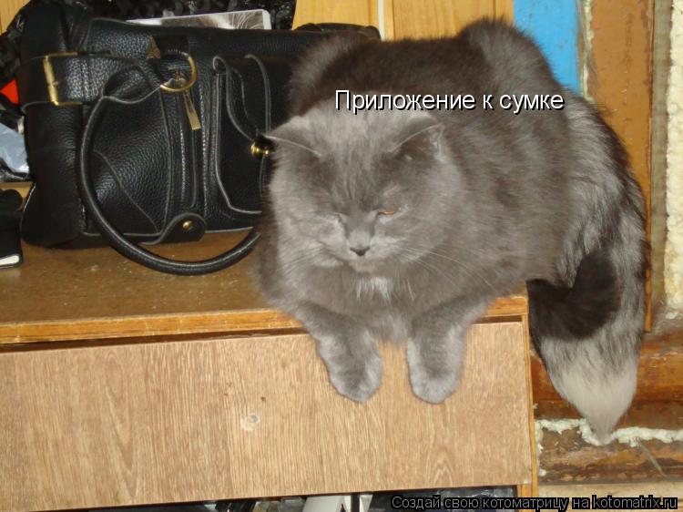 Приложение к сумке... Котоматрица: Приложение к сумке