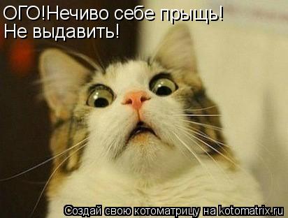 ОГО!Нечиво себе прыщь! Не выдавить!... Котоматрица: ОГО!Нечиво себе прыщь! Не выдавить!