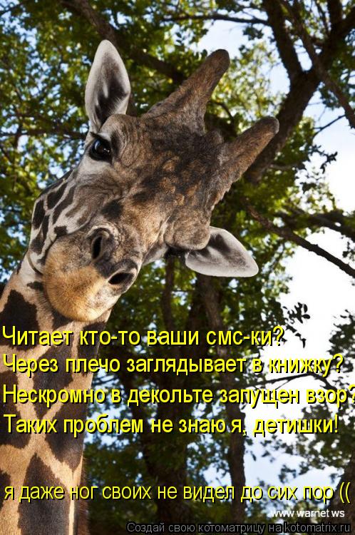 Читает кто-то ваши смс-ки? Через плечо заглядывает в книжку? Нескромно в декольте запущен взор? Таки... Котоматрица: Читает кто-то ваши смс-ки? Через плечо заглядывает в книжку? Нескромно в декольте запущен взор? Таких проблем не знаю я, детишки! я даже ног с