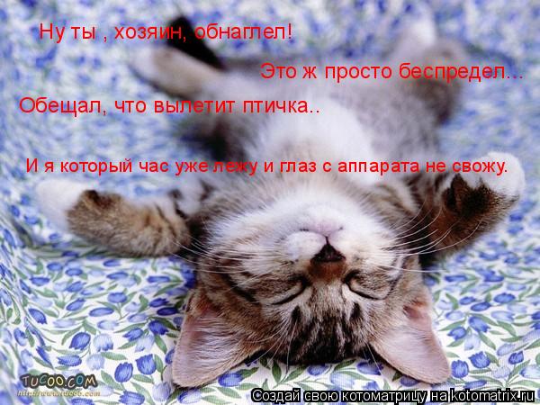 Ну ты , хозяин, обнаглел! Это ж просто беспредел... Обещал, что вылетит птичка.. И я который час ... Котоматрица: Ну ты , хозяин, обнаглел! Это ж просто беспредел... Обещал, что вылетит птичка.. И я который час уже лежу и глаз с аппарата не свожу.