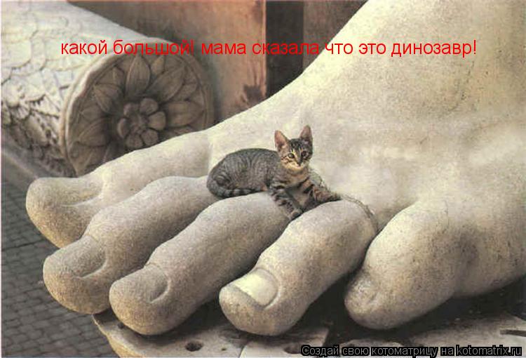 какой большой! мама сказала что это динозавр!... Котоматрица: какой большой! мама сказала что это динозавр!