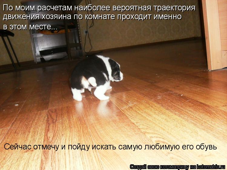 По моим расчетам наиболее вероятная траектория движения хозяина по комнате проходит именно в этом ме... Котоматрица: По моим расчетам наиболее вероятная траектория движения хозяина по комнате проходит именно в этом месте... Сейчас отмечу и пойду искать са