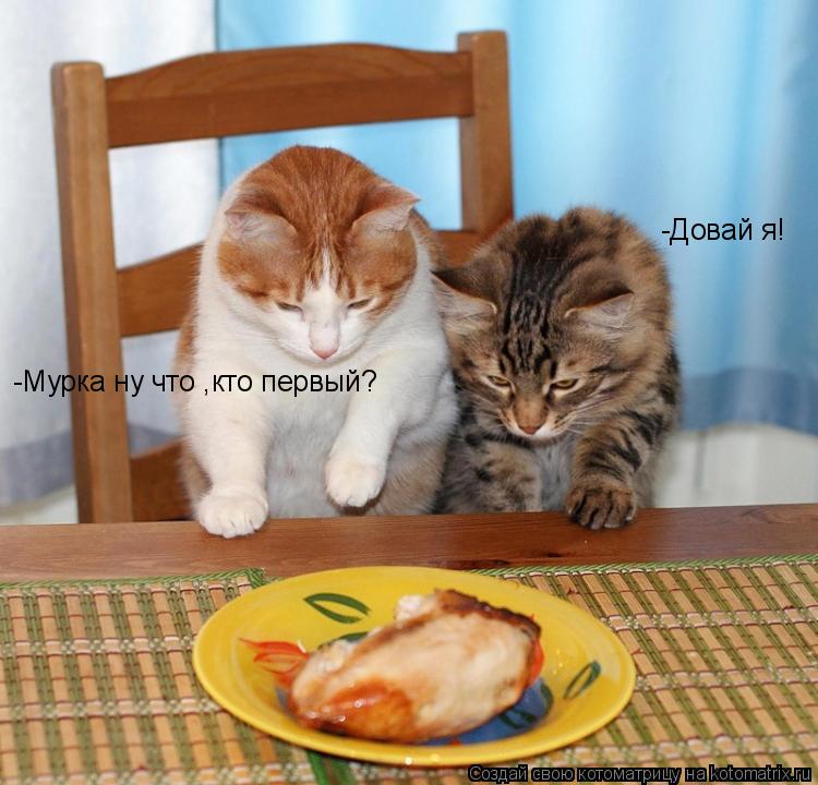 -Мурка ну что ,кто первый? -Довай я!... Котоматрица: -Мурка ну что ,кто первый? -Довай я!