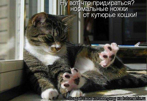 Ну вот что придираться? нормальные ножки от кутюрье кошки!... Котоматрица: Ну вот что придираться? нормальные ножки от кутюрье кошки!