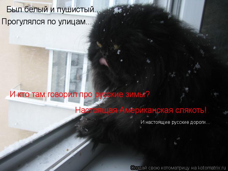 Был белый и пушистый... Прогулялся по улицам... И кто там говорил про русские зимы? Настоящая Америка... Котоматрица: Был белый и пушистый... Прогулялся по улицам... И кто там говорил про русские зимы? Настоящая Американская слякоть! И настоящие русские дорог