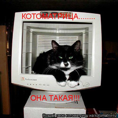 КОТОМАТРИЦА........ ОНА ТАКАЯ!!!... Котоматрица: КОТОМАТРИЦА........ ОНА ТАКАЯ!!!